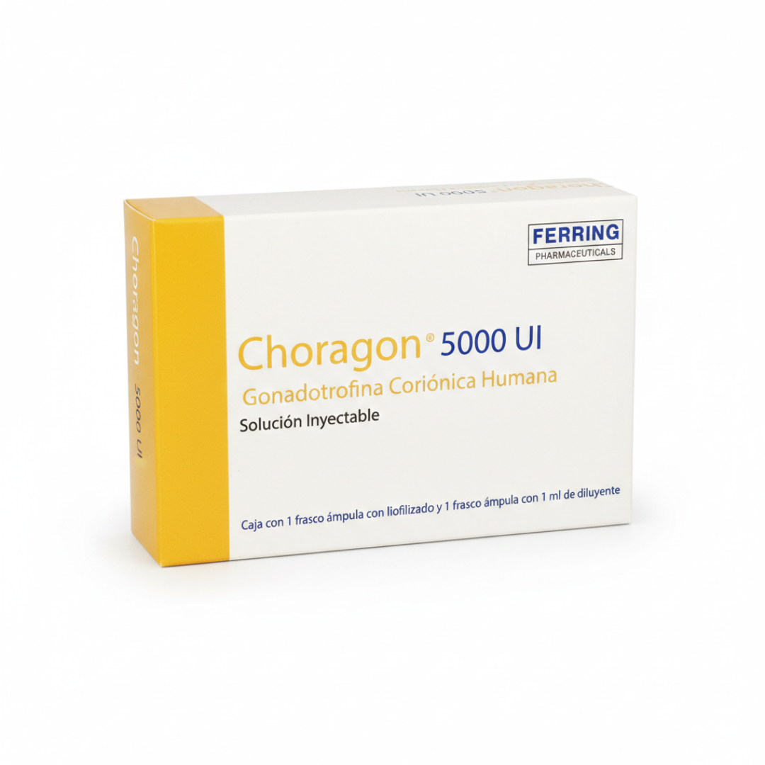 Choragon 5000 UI